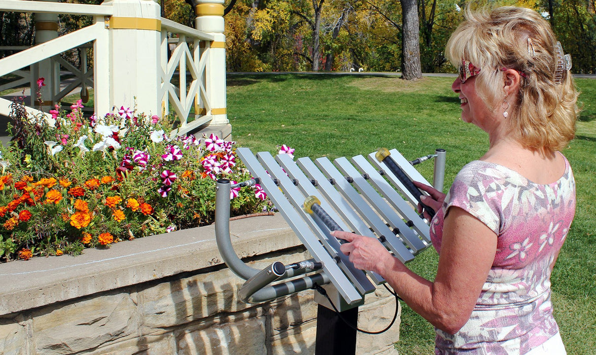 Aria Outdoor Musical Park Instrument - Freenotes Harmony Park