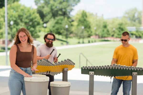 Renaissance Ensemble Outdoor Musical Park Instrument